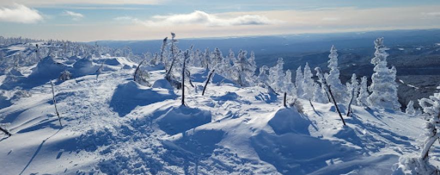 Mont Lyall