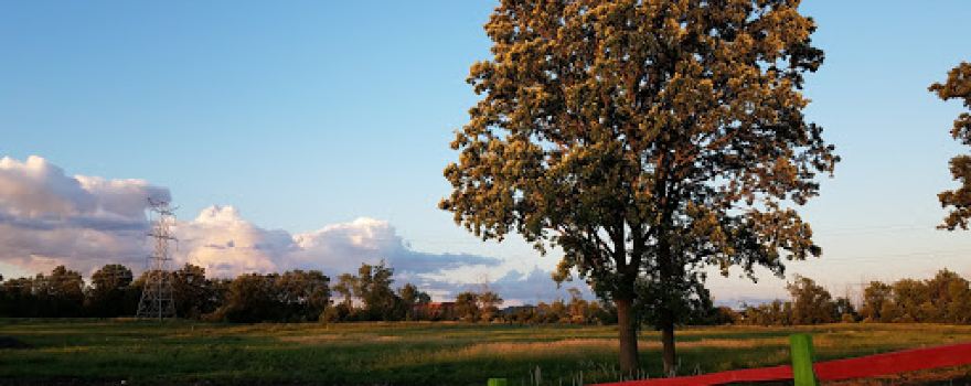 Brandon Township Community Park