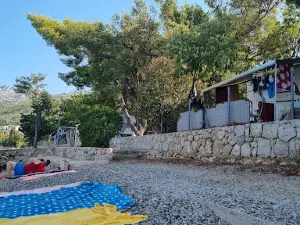 Pansion-Camp PLANTAŽA