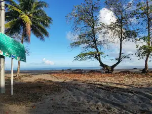 Toco Beach