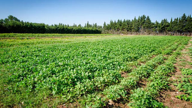 Agricampeggio Malapezza