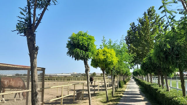 Omar Atçılıq Mərkəzi