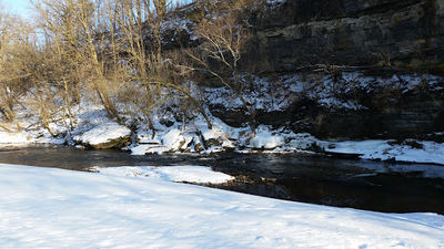 Preston City Park