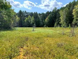 Solberg Lake County Park