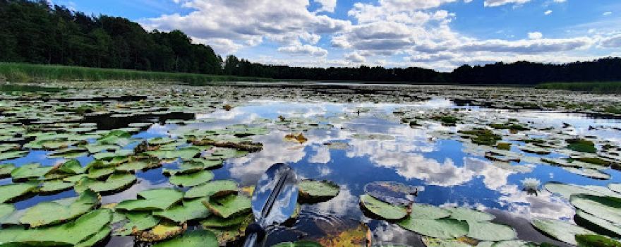 Wypożyczalnia kajaków i rowerków wodnych