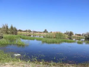 Dalagan Park