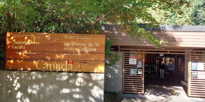 Capilano River Hatchery