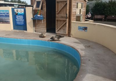 Natureland Seal Sanctuary (Skegness)
