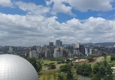 THE Addis Ababa museum