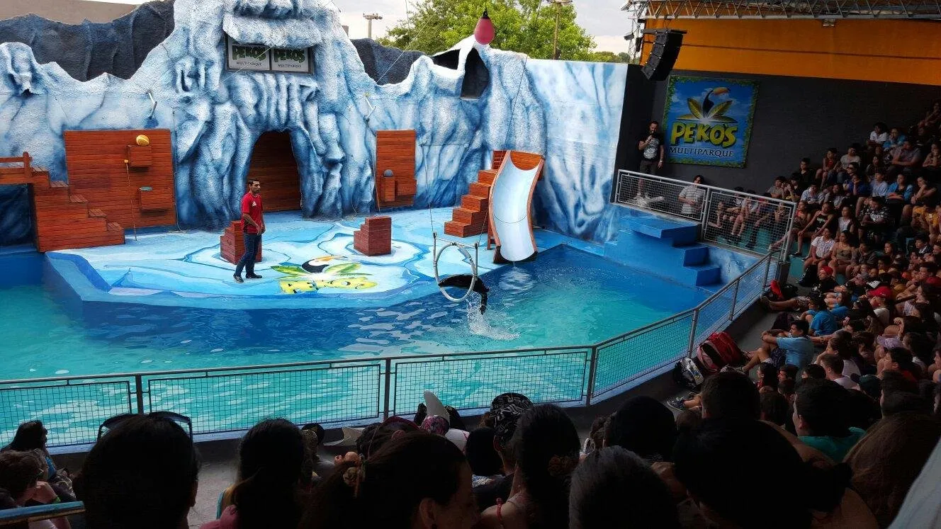 5_Peko's Multiparque