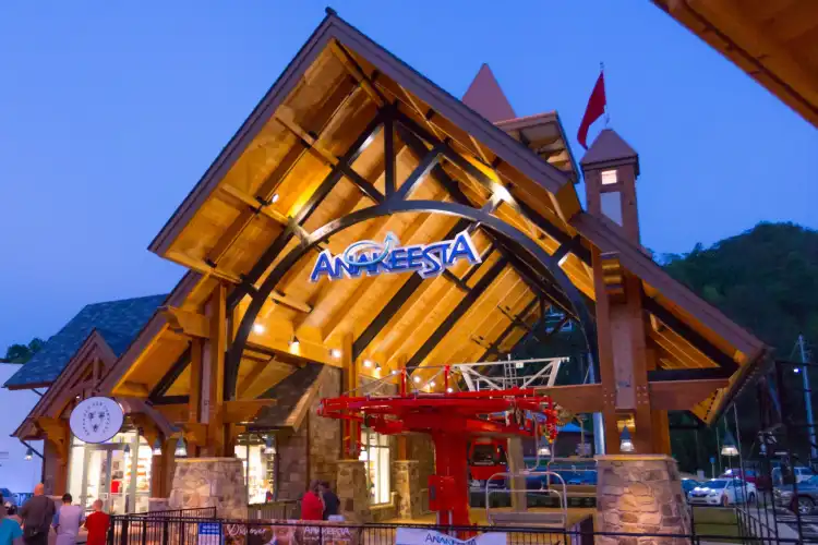 Hotels near The Maples' Tree