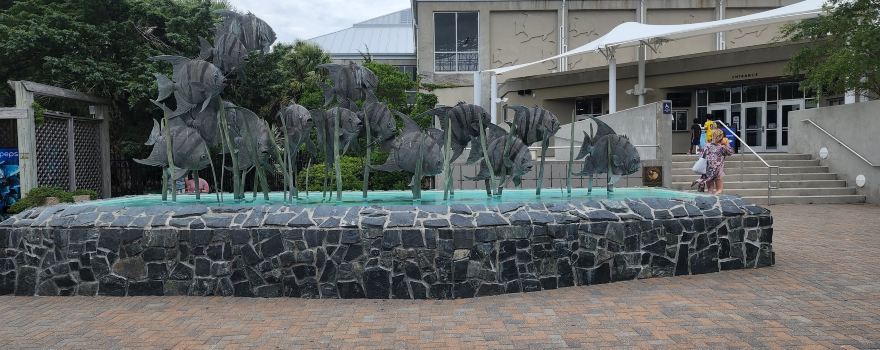 노스캐롤라이나 아쿼리엄 앳 포르 피셔