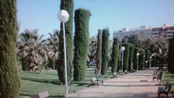 Alicante