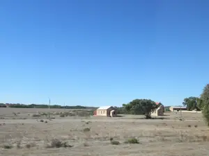 The Leaning Trees