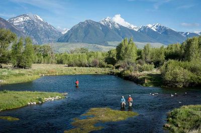 Montana Angler