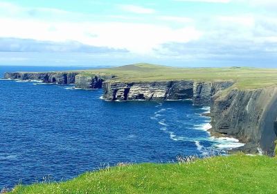 Loop Head