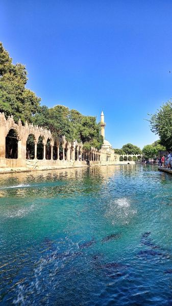 Flüge Grosny Şanlıurfa