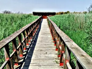Parque Nacional de las Tablas de Daimiel