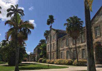 Codrington College