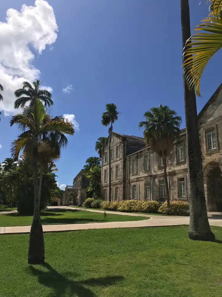 Hotels near Codrington College
