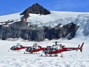 Alaska Icefield Expeditions