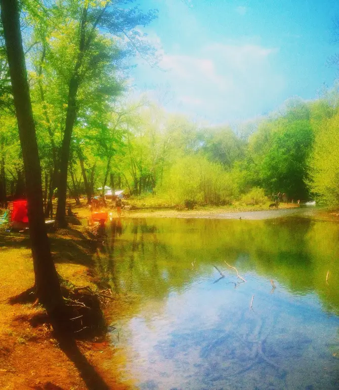 Courtois Township