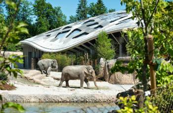 Popular Family-friendly Attractions in Zurich