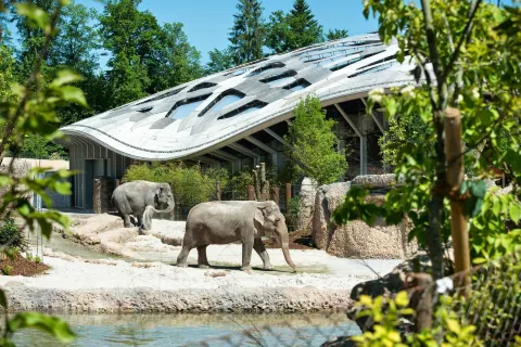Giardino zoologico di Zurigo