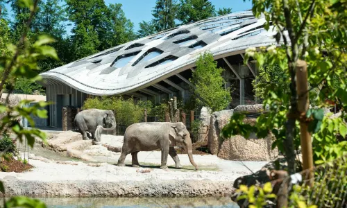 Giardino zoologico di Zurigo