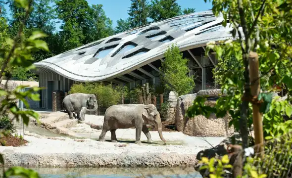 Hotel in zona Giardino zoologico di Zurigo