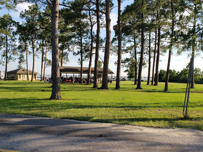 Meaher State Park