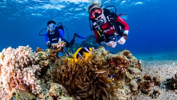 Manta Isrotel Diving Center