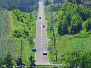Roller Coaster Road