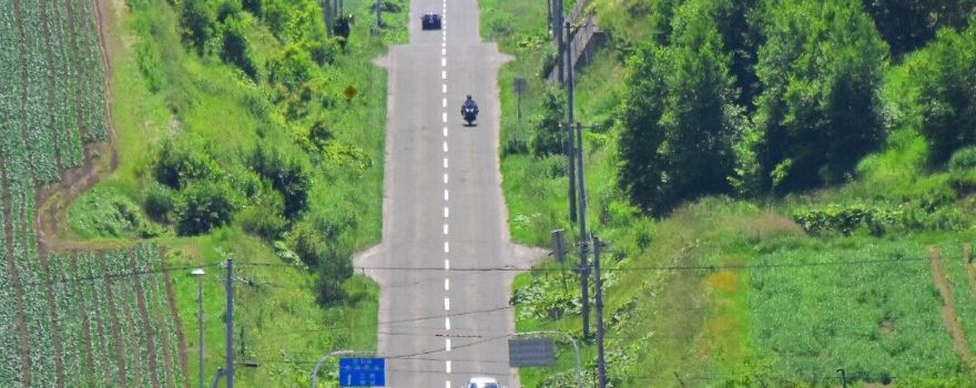 Roller Coaster Road