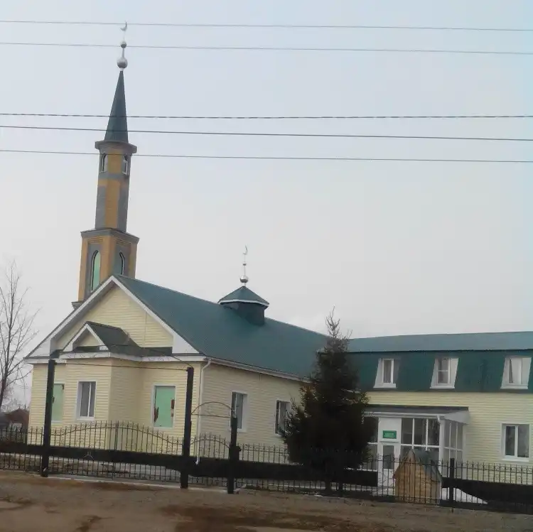 Hotels in Kanasj