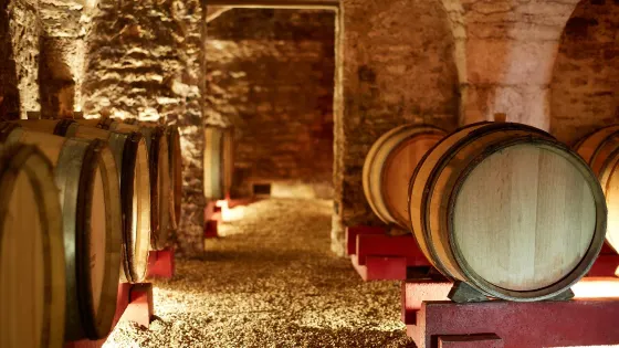 Château de Chamirey