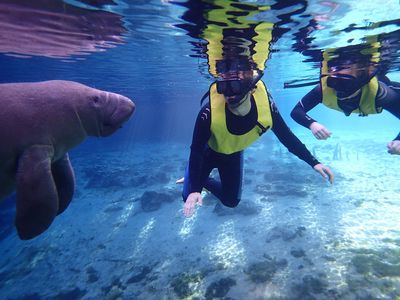 Crystal River Watersports