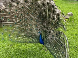 Fauna Zoo
