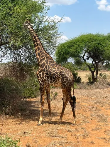 Taita-Taveta