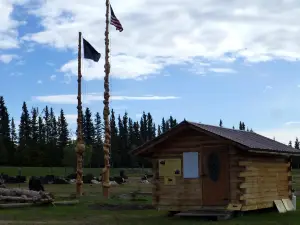 Alaska Yaks