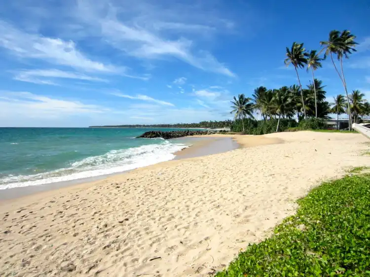 Hotels in der Nähe von Dive Seenigama Dive Lanka / Dive For Good Sri Lanka