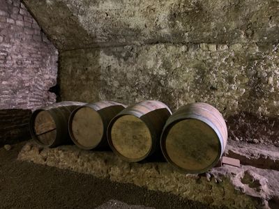 Roman Granary Museum