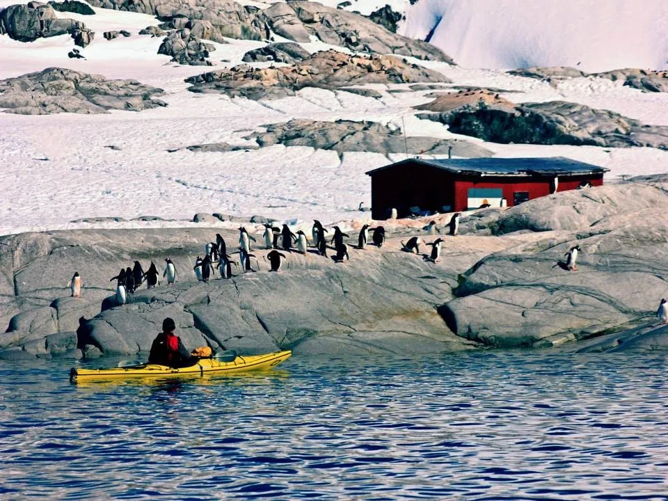 5_Penguin Post Office