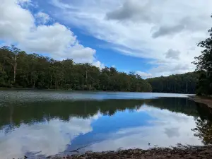 Big Brook Dam Foreshore & Picnic Area