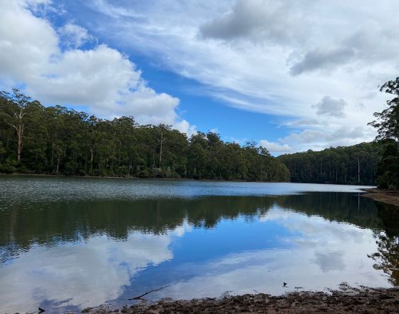 彭伯頓 自由行套票