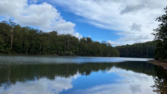Big Brook Dam Foreshore & Picnic Area