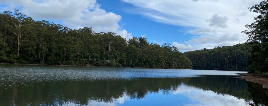 Big Brook Dam Foreshore & Picnic Area