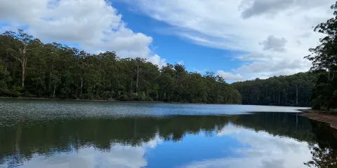 Big Brook Dam