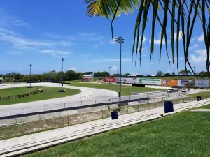 Bushy Park Barbados