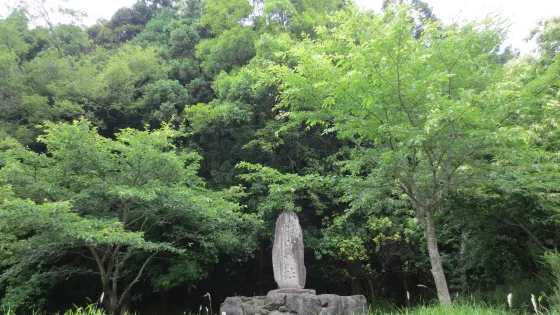 The Ruins of Mineyama Castle
